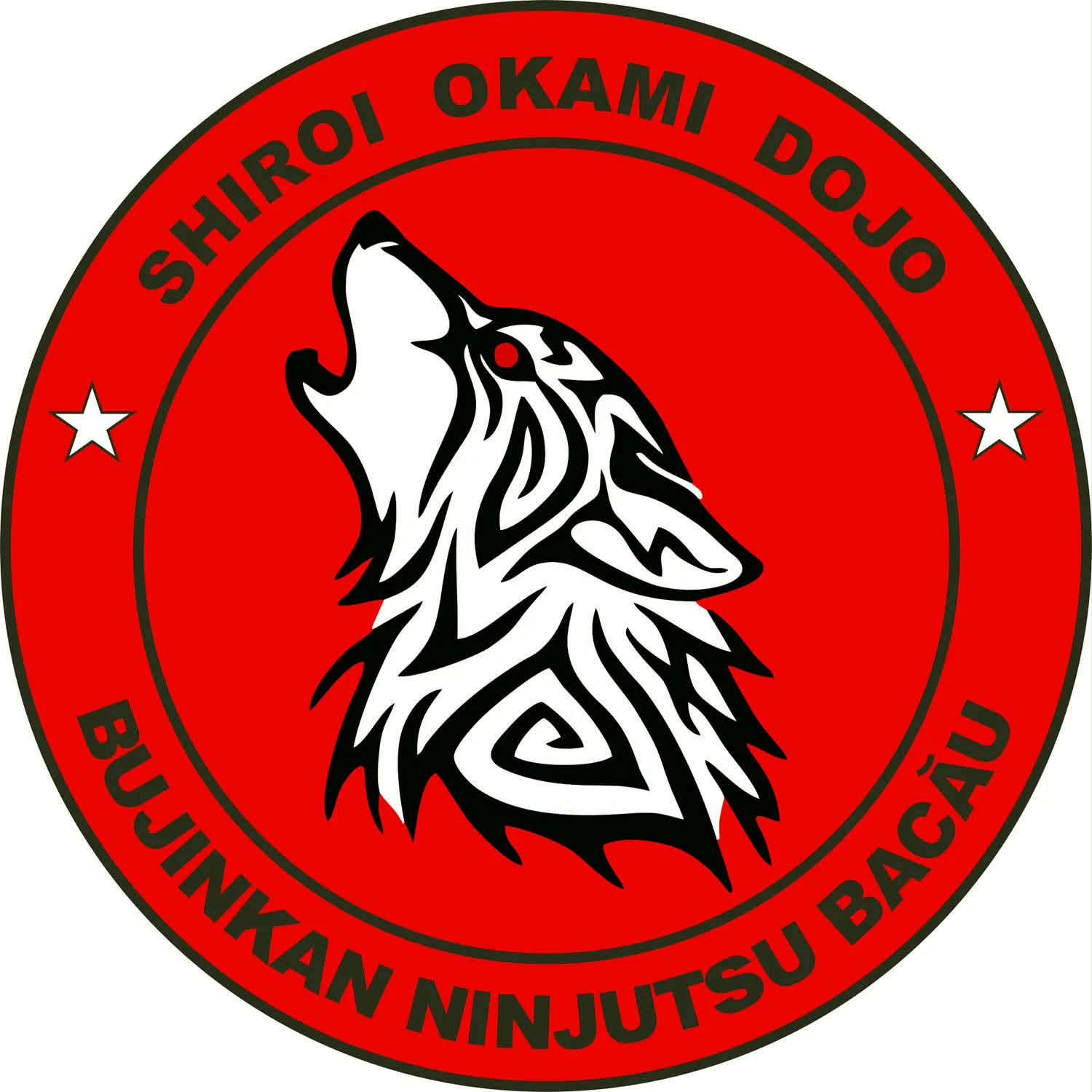 Logo Bujinkan Ninjutsu Bacau